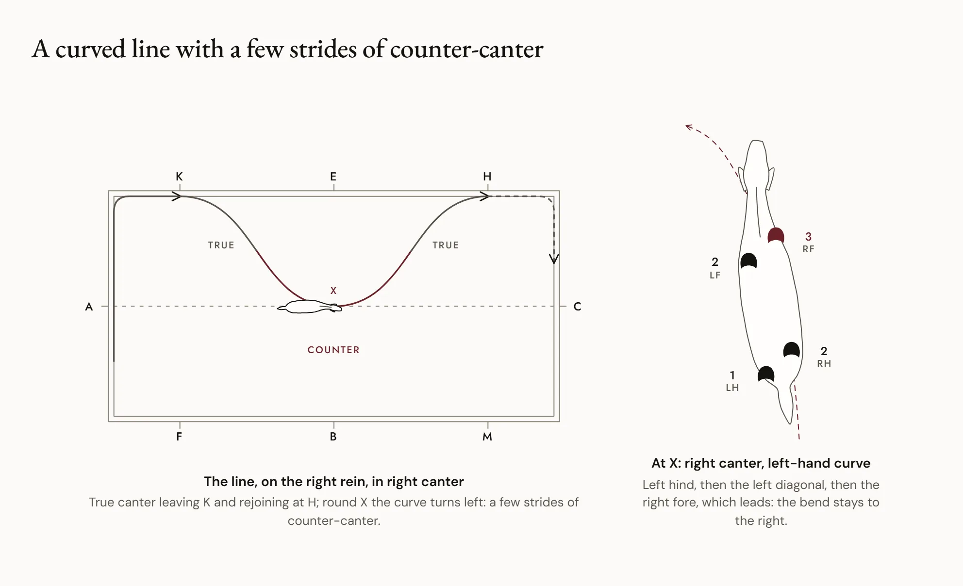 A curved line with a few strides of counter-canter — An arena seen from above: a horse in right canter leaves the track at K, rides a wide curve through X and rejoins the track at H; around X the curve turns left while the horse stays in right canter, slightly flexed to the right.