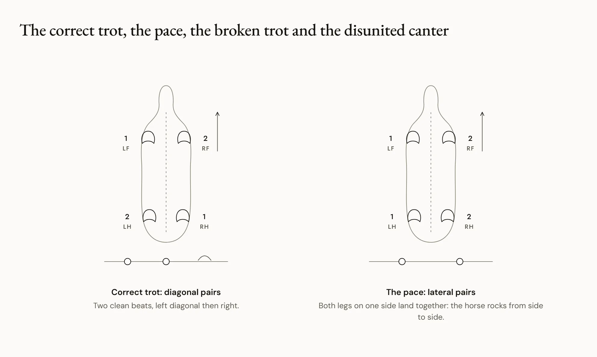 The correct trot, the pace, the broken trot and the disunited canter — Four horses seen from above, a numbered hoofprint under each foot: at a correct trot, the diagonal pairs land together; at the pace, the lateral pairs; at the broken trot, the two feet of a diagonal land one after the other; at the disunited canter, a lateral pair lands on the second beat.