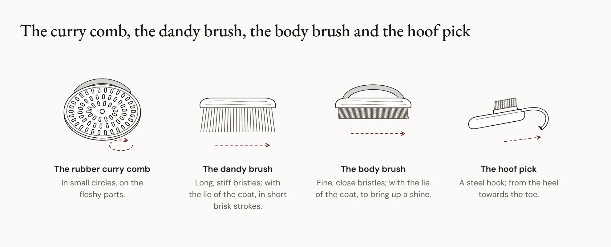 The curry comb, the dandy brush, the body brush and the hoof pick — Four tools drawn and named: an oval rubber curry comb with nubs, a dandy brush with long, stiff bristles, a body brush with fine, close-set bristles, and a metal hook-shaped hoof pick with a small brush.