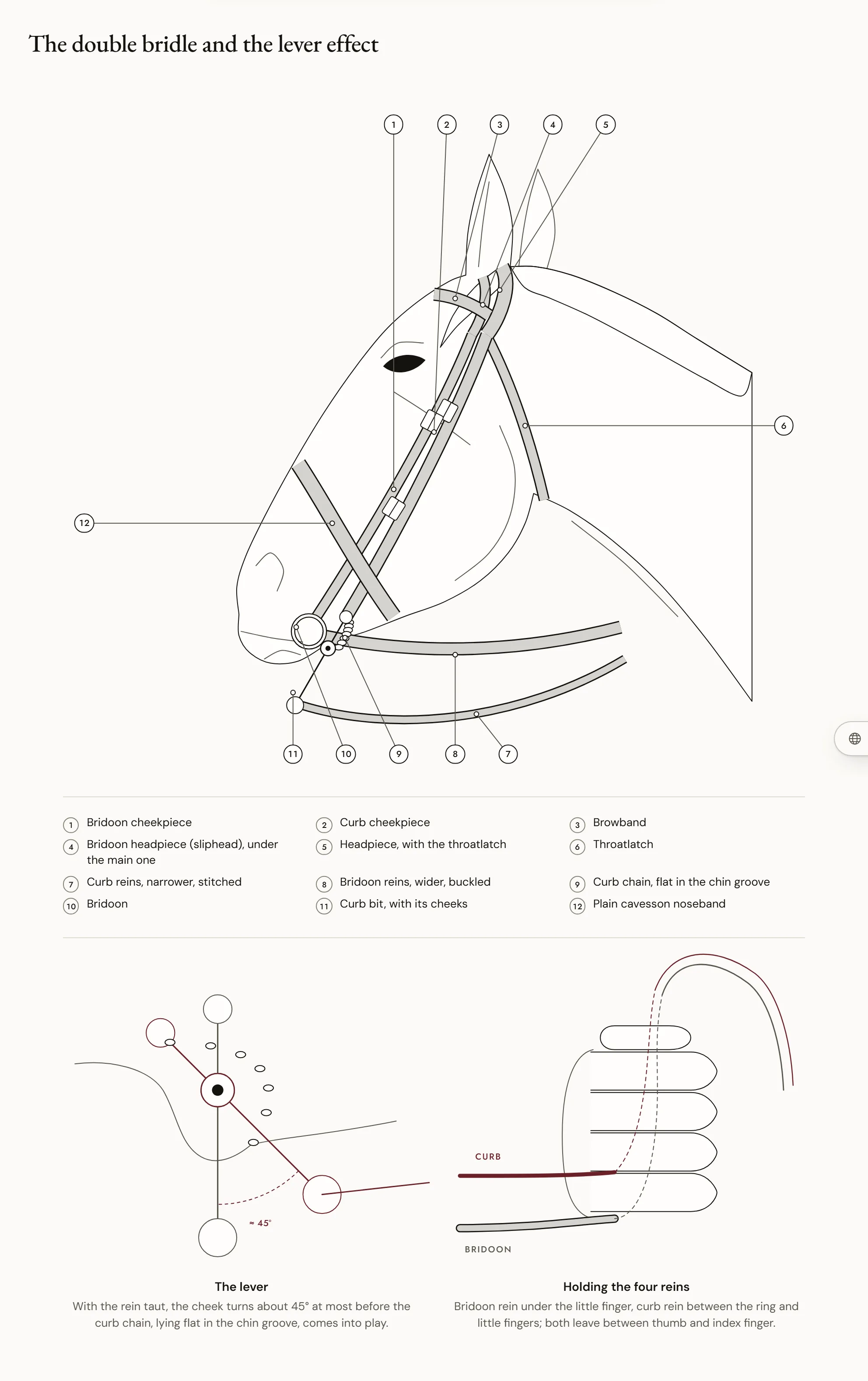The double bridle and the lever effect — A horse’s head in profile wearing a double bridle with its parts numbered; inset, the curb bit whose shank tips about 45° when the rein tightens, the curb chain lying flat in the chin groove.