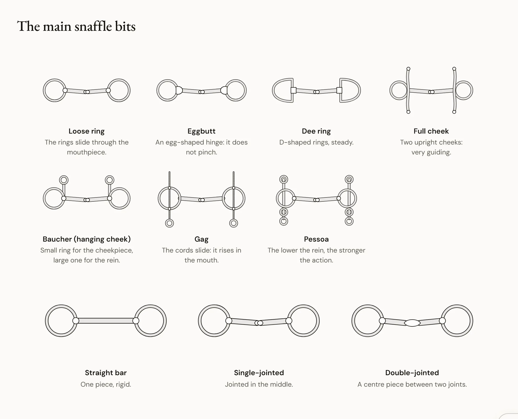 The main snaffle bits — A plate of bits drawn from the front: loose-ring, eggbutt, D-ring, full-cheek, Baucher, gag with its cords, multi-ring Pessoa; below, a straight mouthpiece, a single-jointed one and a double-jointed one.