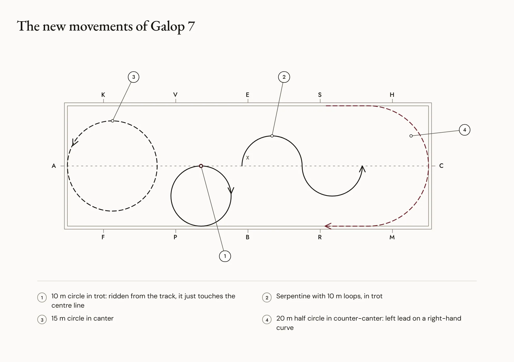 The new movements of Galop 7 — A dressage arena seen from above with, in separate lines, a 10 m circle at trot, a serpentine with 10 m loops, a 15 m circle at canter and a 20 m half-circle ridden in counter-canter.
