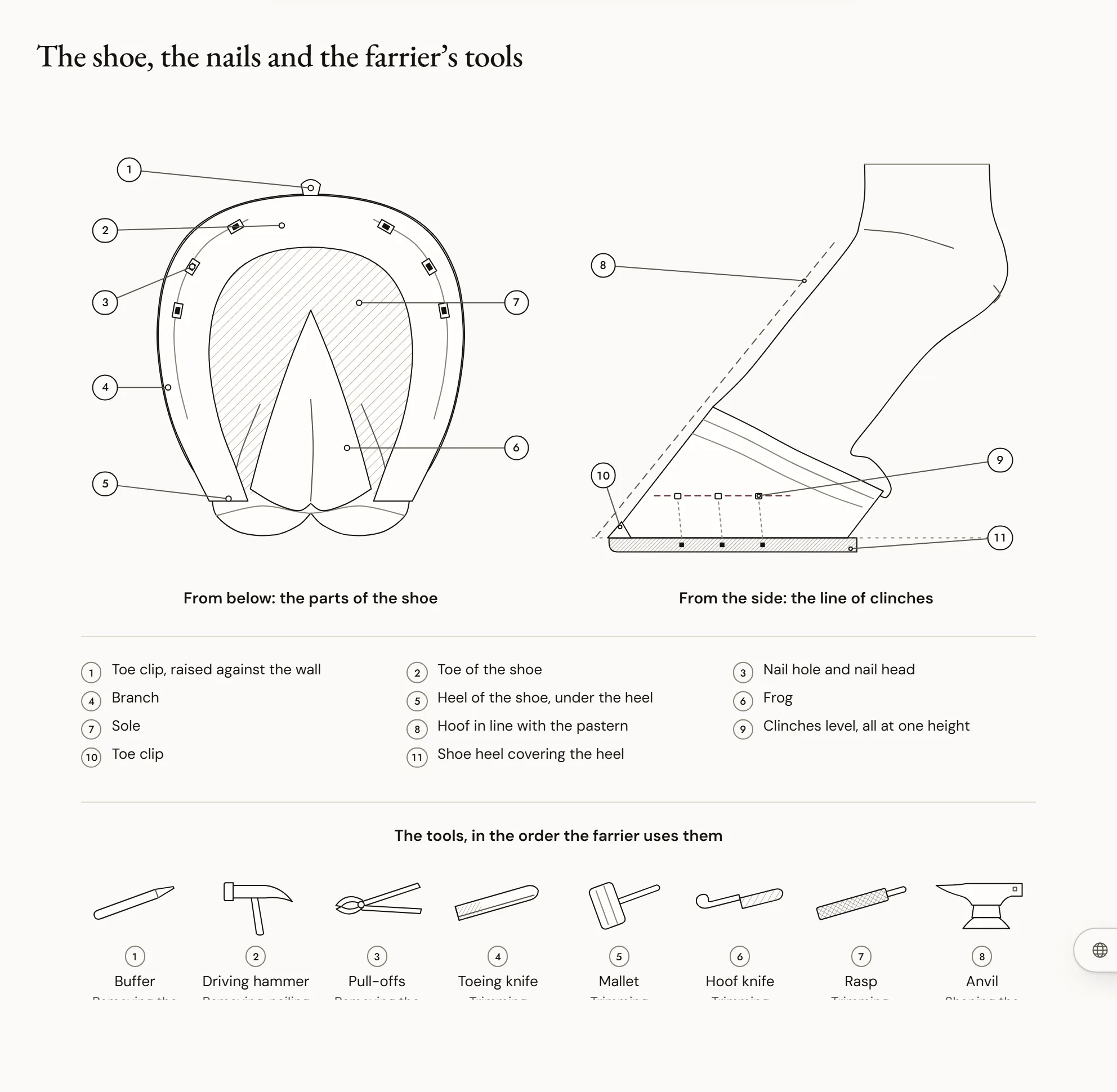 The shoe, the nails and the farrier’s tools — A shod forefoot seen from below, with the parts of the shoe named, a foot in profile showing the line of clenches, and a frieze of the farrier’s tools in the order he uses them.