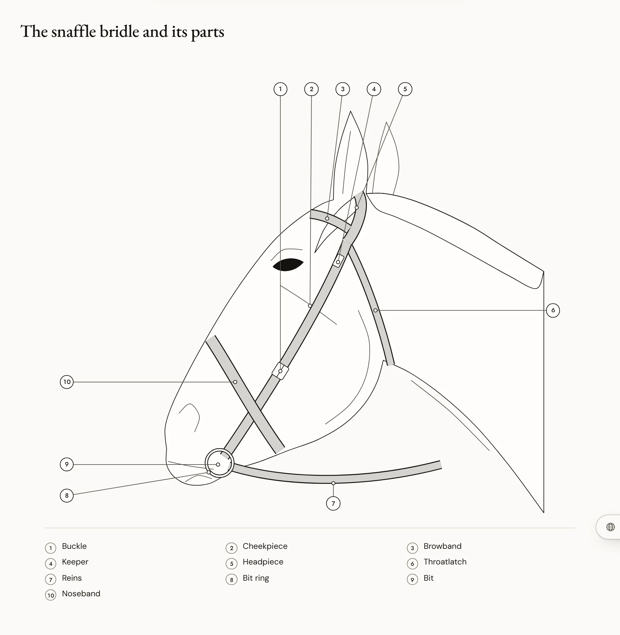 The snaffle bridle and its parts — A horse’s head seen from the left wearing a snaffle bridle, each piece numbered: headpiece, throatlatch, browband, cheekpiece, noseband headpiece, noseband, bit and its rings, reins, buckles and keepers.