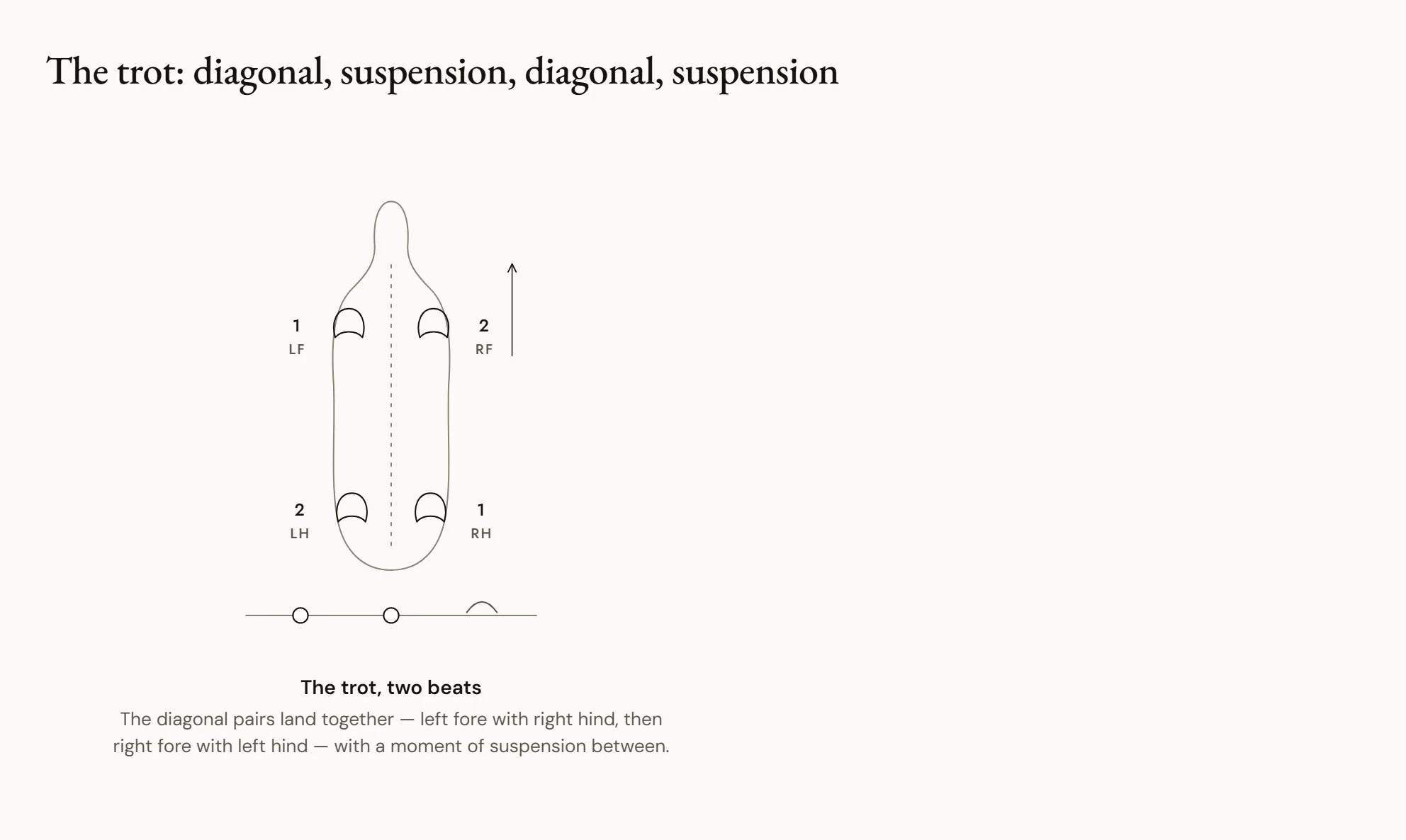 The trot: diagonal, suspension, diagonal, suspension — Four outlines of a horse at trot: the right diagonal on the ground, with the right fore and the left hind coloured; then all four feet in the air; then the left diagonal on the ground; then another moment of suspension.
