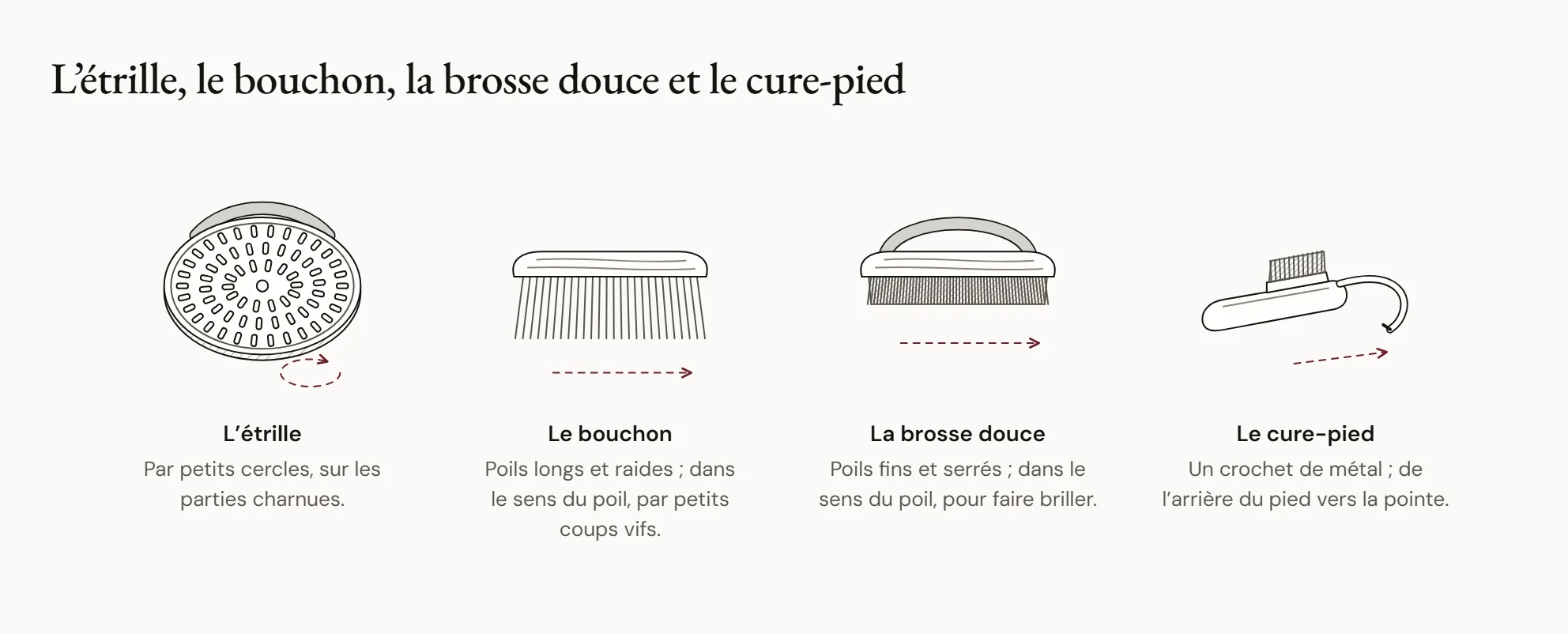 L’étrille, le bouchon, la brosse douce et le cure-pied — Quatre outils dessinés et nommés : une étrille ovale en caoutchouc à picots, un bouchon aux poils longs et raides, une brosse douce aux poils fins et serrés, et un cure-pied en crochet de métal muni d’une petite brosse.