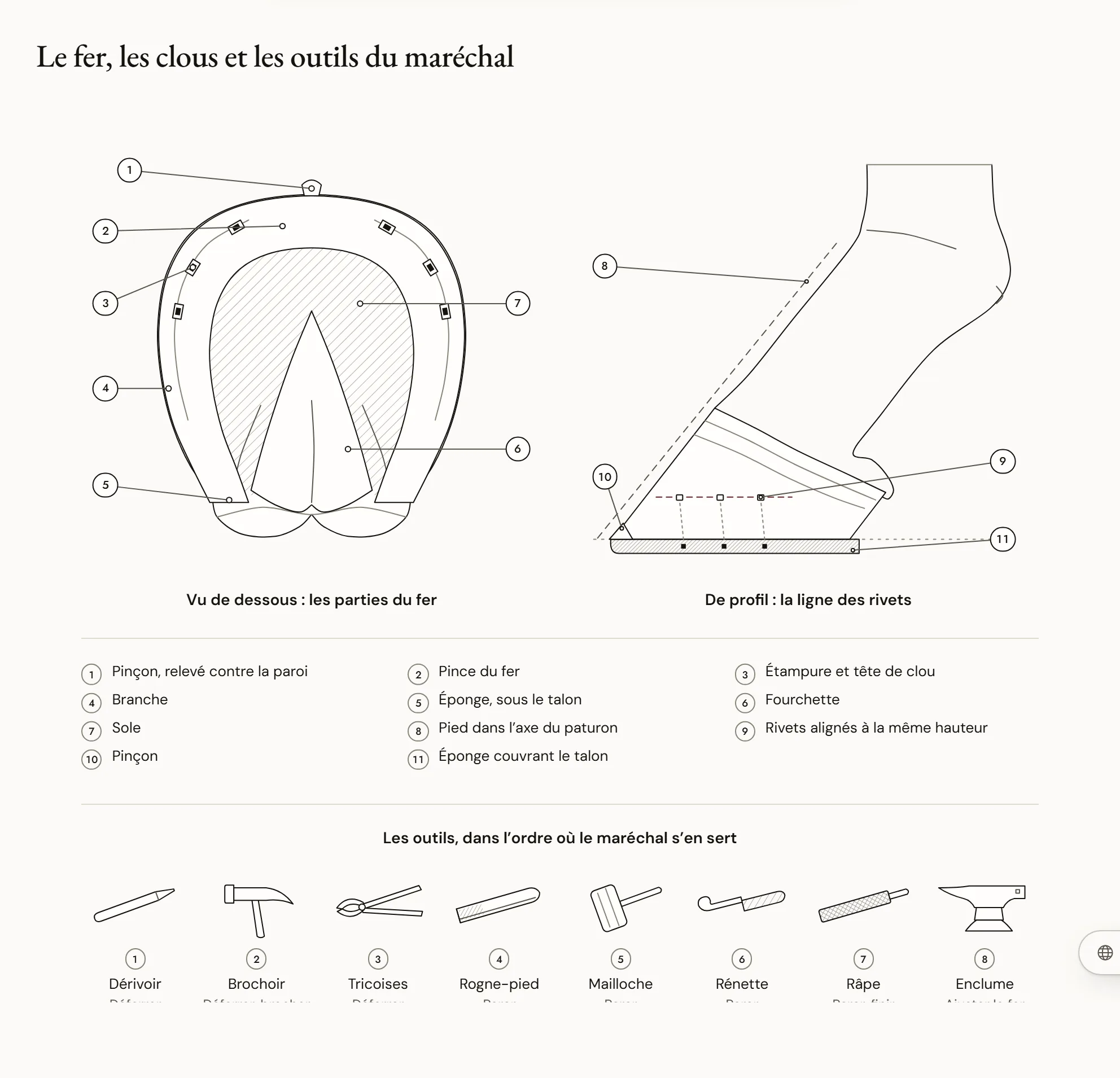 Le fer, les clous et les outils du maréchal — Un pied antérieur ferré vu de dessous, avec les parties du fer nommées, un pied vu de profil montrant la ligne des rivets, et une frise des outils du maréchal-ferrant dans l’ordre où il s’en sert.