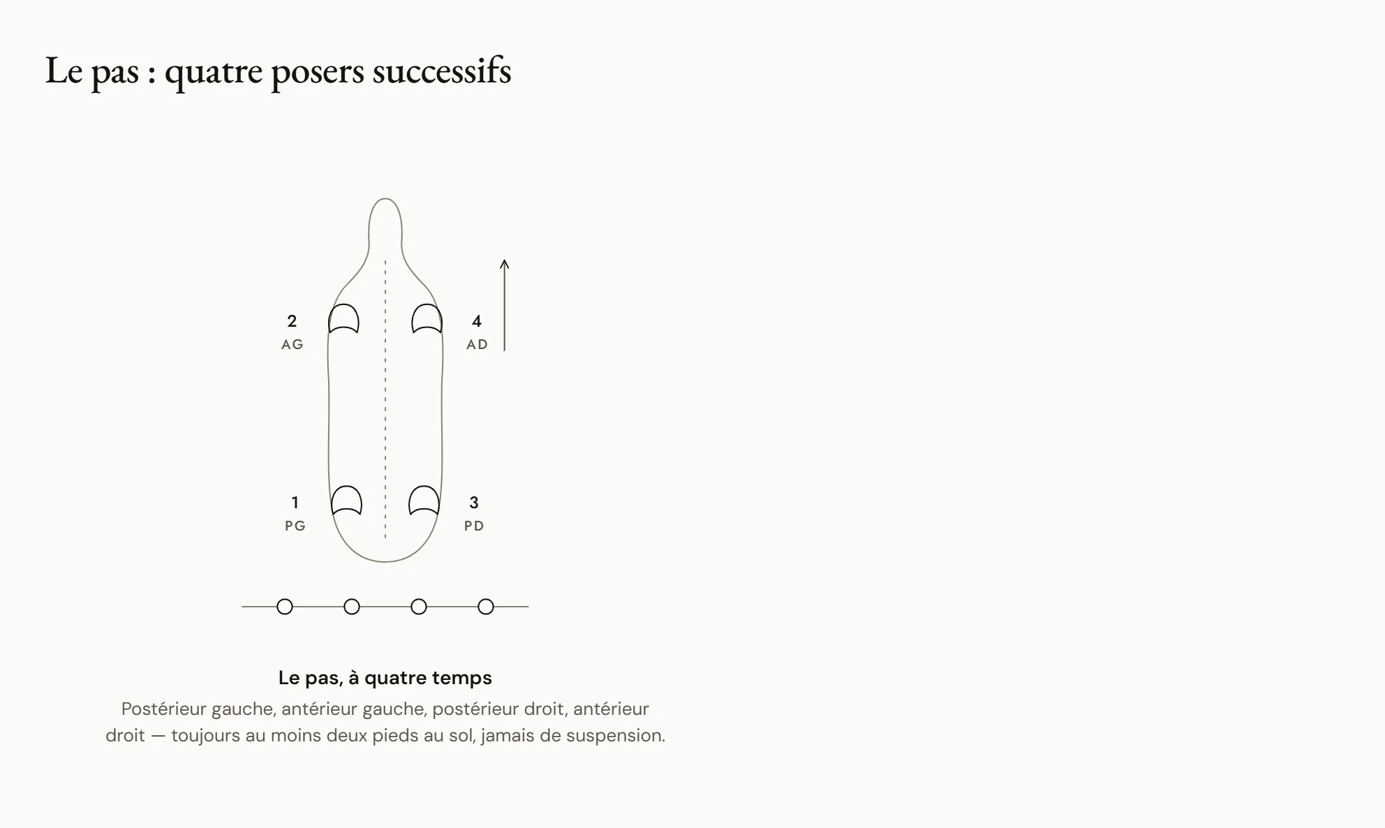 Le pas : quatre posers successifs — Quatre silhouettes d’un cheval au pas. Dans chacune, le pied qui se pose est coloré, dans l’ordre : postérieur droit, antérieur droit, postérieur gauche, antérieur gauche. Un diagramme en dessous montre les appuis qui alternent entre deux et trois pieds.