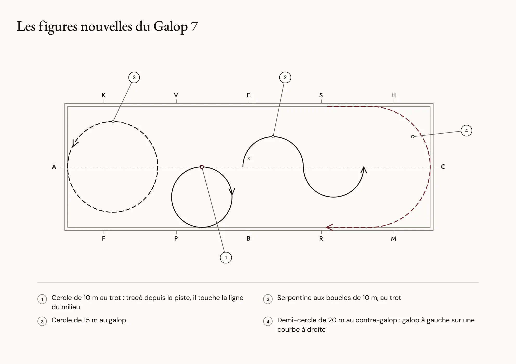 Les figures nouvelles du Galop 7 — Rectangle de dressage vu de dessus avec, en traits distincts, un cercle de 10 m au trot, une serpentine aux boucles de 10 m, un cercle de 15 m au galop et un demi-cercle de 20 m parcouru au contre-galop.