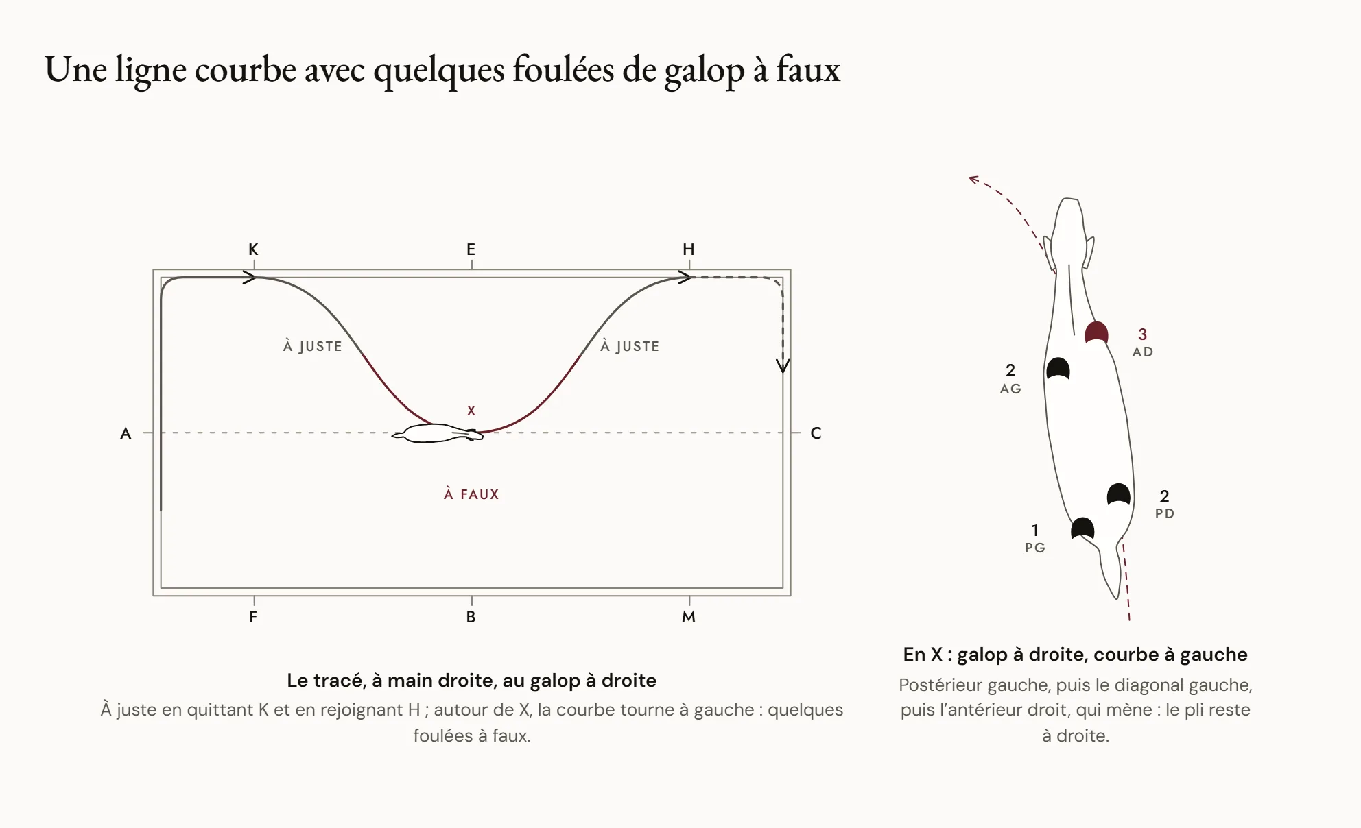 Une ligne courbe avec quelques foulées de galop à faux — Une carrière vue de dessus : un cheval au galop à droite quitte la piste en K, décrit une grande courbe qui passe par X et rejoint la piste en H ; autour de X, la courbe tourne à gauche alors qu’il reste au galop à droite, légèrement plié à droite.
